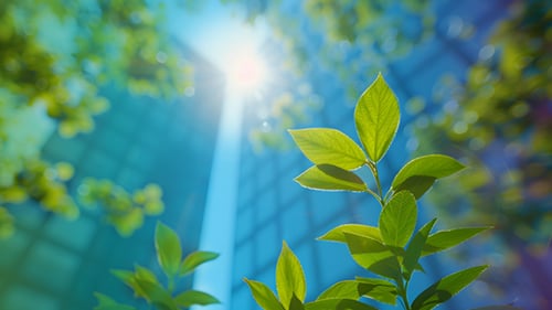 environment_2555674703-500x281