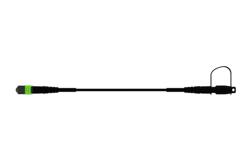 FT-12CGJDDN [FT-12CGJDDN]